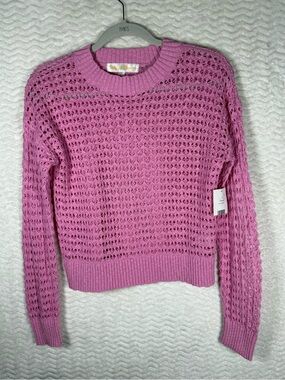 Sugar Moon Eyelet Knit Crewneck Sweater in Pink